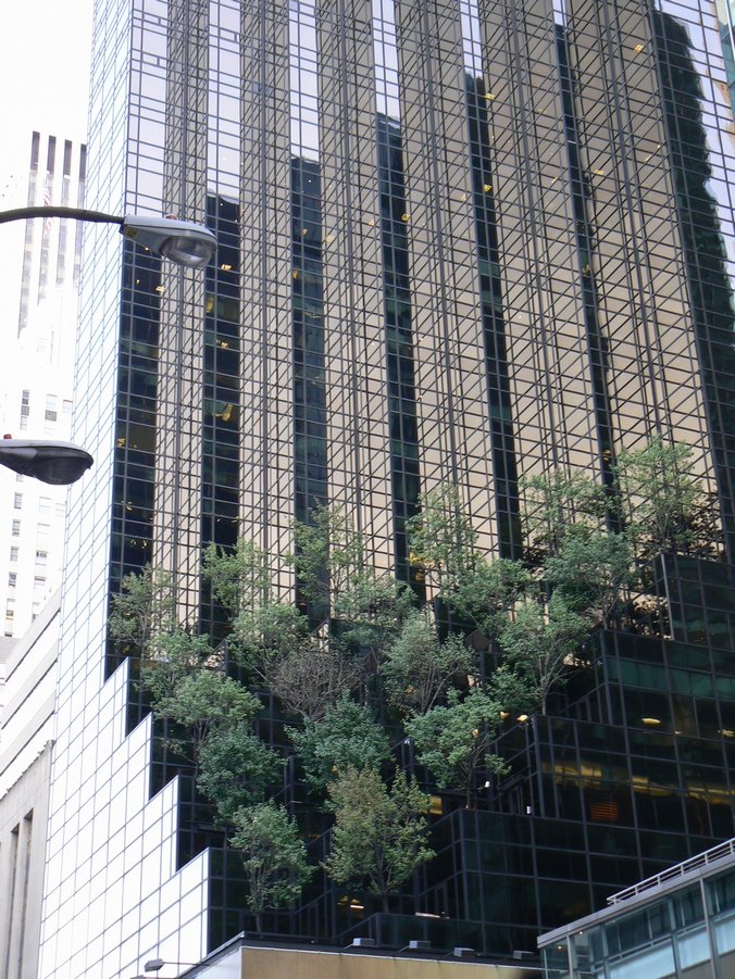 Promenade dans New York: Promenade dans NYC 2007 038